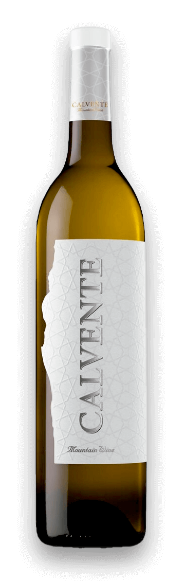 cata-de-vino-granada